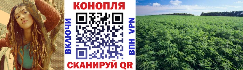 цена наркотик Новошахтинск Бошки марихуана ГИДРОПОН